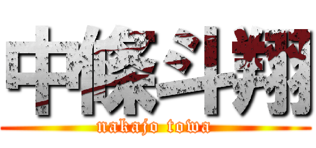 中條斗翔 (nakajo towa)