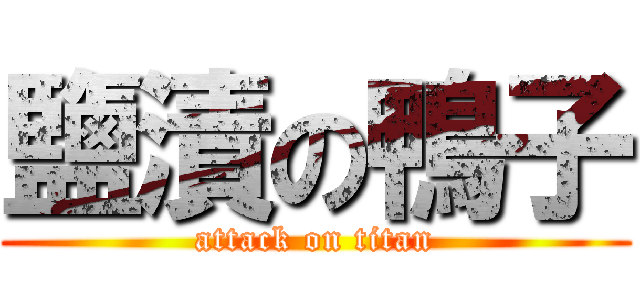 鹽漬の鴨子 (attack on titan)