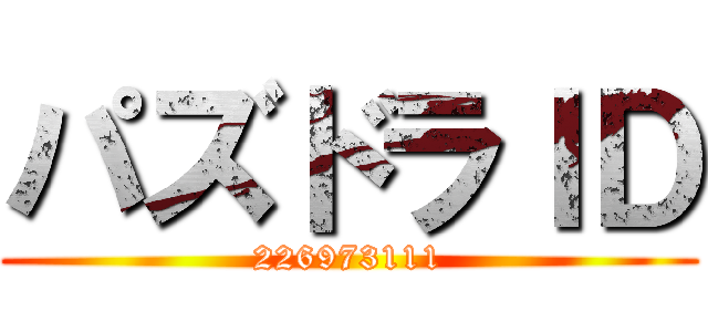パズドラＩＤ (226973111)