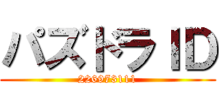 パズドラＩＤ (226973111)
