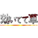 効いてて草 ()