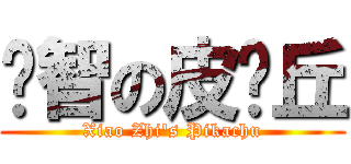 洨智の皮卡丘 (Xiao Zhi\'s Pikachu)