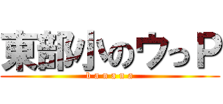 東部小のウっＰ (b a n a n a)