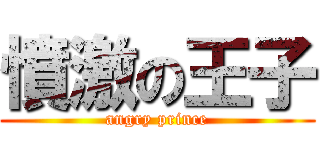 憤激の王子 (angry prince)