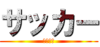 サッカー (日本代表)