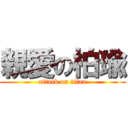 親愛の柏瑜 (attack on titan)