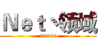 Ｎｅｔ丶领域 (123456)