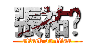 張祐瑄 (attack on titan)