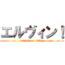 エルヴィン！ (attack on titan)