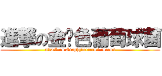 進撃の金黃色葡萄球菌 (attack on Staphylococcus aureus)