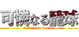 可憐なる籠球 (Lovely on basket)