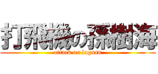 打飛機の孫樹海 (attack on luguan)