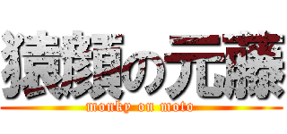 猿顔の元藤 (monky on moto)