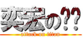 奕宏の芷璇 (attack on titan)