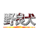 野良犬 (のらいぬ)