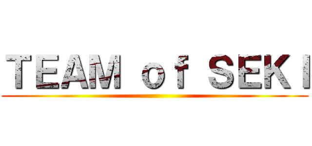 ＴＥＡＭ ｏｆ ＳＥＫＩ ()
