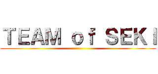 ＴＥＡＭ ｏｆ ＳＥＫＩ ()