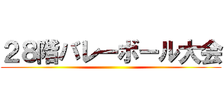 ２８階バレーボール大会 ()
