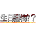 生日禮物呢？ (Where is the Birthday Gift?)