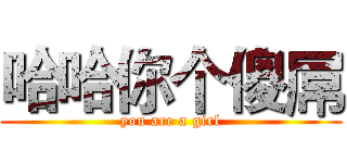 哈哈你个傻屌 (you are a girl)