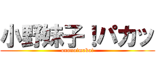 小野妹子！パカッ (ononoimoko!)
