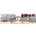 進擊の統貓 (attack on catbud)