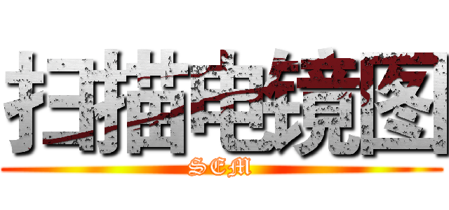 扫描电镜图 (SEM)