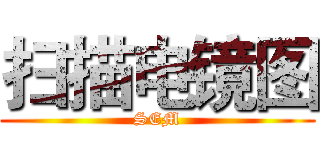 扫描电镜图 (SEM)