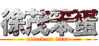 徐茂笨蛋 (attack on titan)