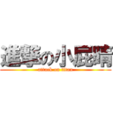 進撃の小屁晴 (attack on titan)