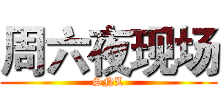 周六夜现场 (SNL)