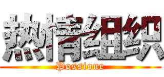 热情组织 (Possione)
