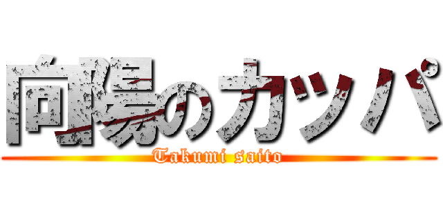 向陽のカッパ (Takumi saito)