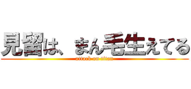 見留は、まん毛生えてる (attack on titan)