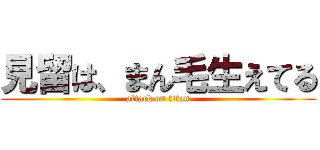 見留は、まん毛生えてる (attack on titan)