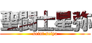 聖闘士星弥 (seint seiya)