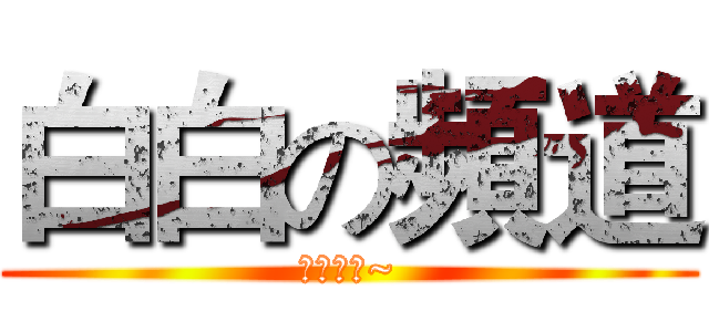 白白の頻道 (要訂閱喔~)