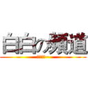 白白の頻道 (要訂閱喔~)