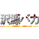 沢源バカ ()