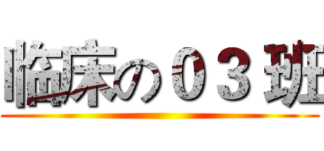 临床の０３ 班 ()