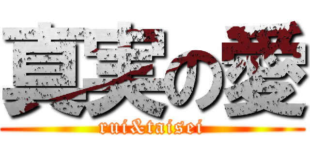 真実の愛 (rui&taisei)