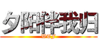 夕阳伴我归 (WTF)