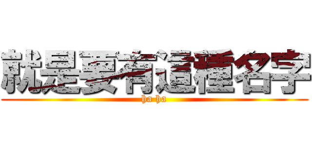 就是要有這種名字 (ha ha)