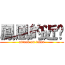 鳳凰的近擊 (attack on titan)