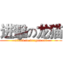 进擊の龙猫 (attack to dragon cat)