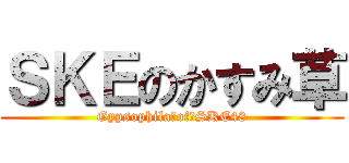 ＳＫＥのかすみ草 (Gypsophila　of　SKE48)