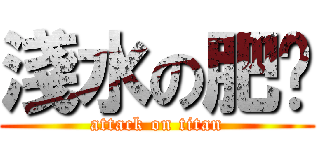 淺水の肥妮 (attack on titan)