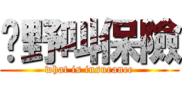 乜野叫保險 (what is insurance)