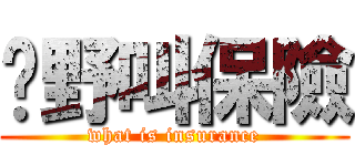 乜野叫保險 (what is insurance)