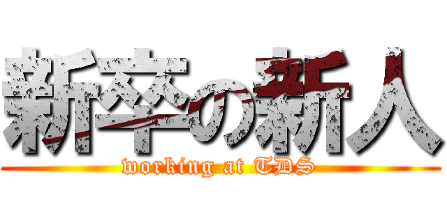 新卒の新人 (working at TDS)